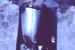 MD000113