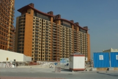 thepalm3