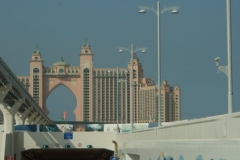 thepalm5