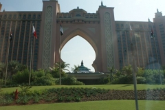 thepalm6