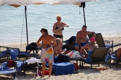 DSC00690