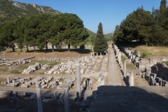 DSC00220
