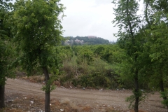DSC00299